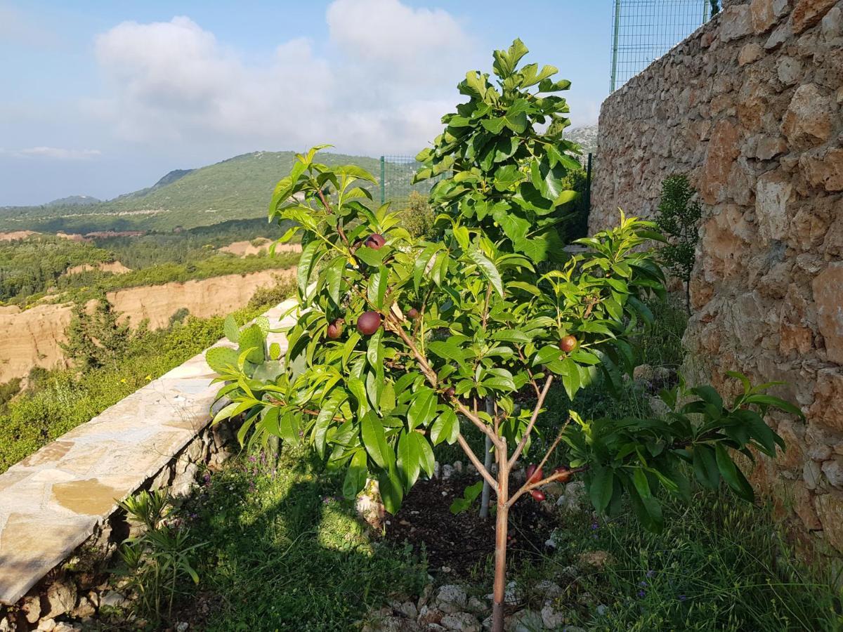 Vila Tatjana Guest House Vuno Eksteriør bilde